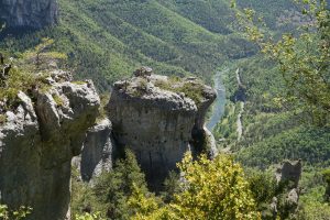 The Tarn gorge/ les gorges du Tarn