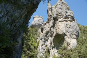 Cliffs in the Tarn gorge / falaises des Gorges du Tarn